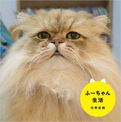 ふーちゃん生活 (電撃単行本)