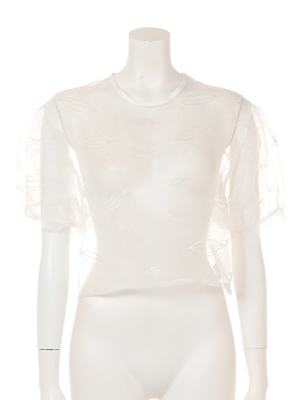 lip organdy blous