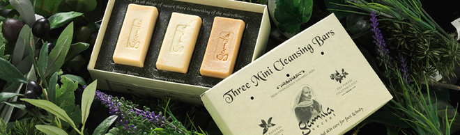 ガミラシークレット ミニバー 3P