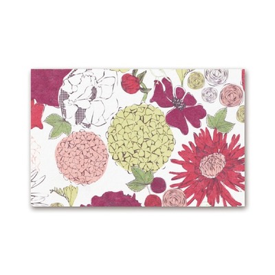 マルアイ　ミニカード　ヴェランタ　カ−FL501　8枚入