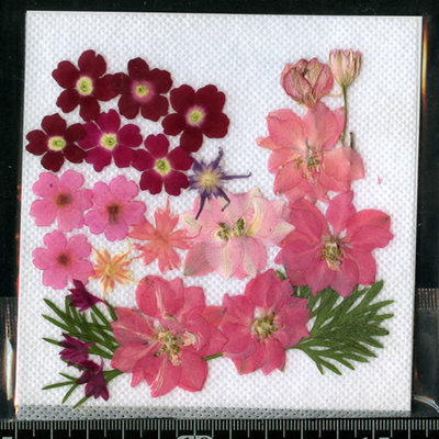 押し花パック 押し花素材材料 【ピンク】 着色・無着色混合 