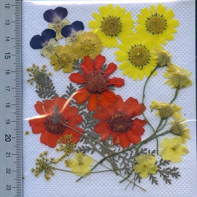 押し花パック 押し花素材材料 【イエロー】 