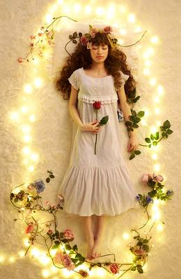 ヨーロッパ民話「眠り姫」