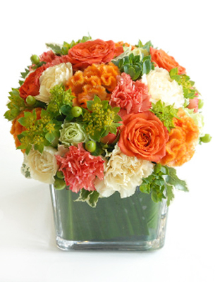 ゴールデングローリー