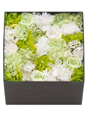 クールブリーズ