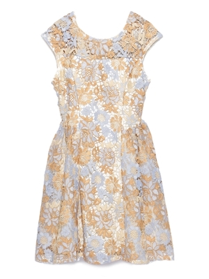 Lily Brown（リリーブラウン）配色レースワンピース