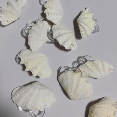 Cigogne Shell fit earrings