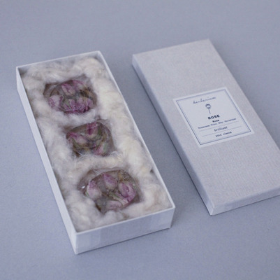 herbarium 甘い標本