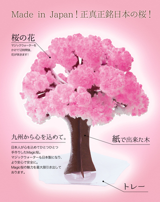 マジック桜