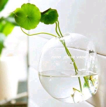 ガラスのインテリア 壁掛け花瓶