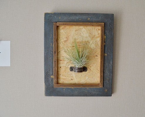 植物を飾る額縁