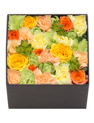 ブライト ビューティー