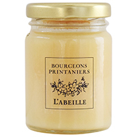 フランス　春の花々　FLEURS PRINTANIERES