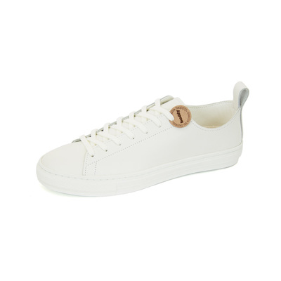 BULL TERRIER LOW SMOOTH WHITE