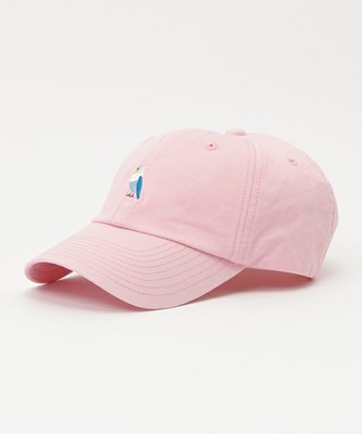 シシュウＣＡＰ