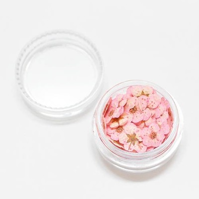 押し花 ライトピンク 10枚