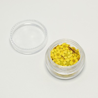 押し花 イエロー10枚