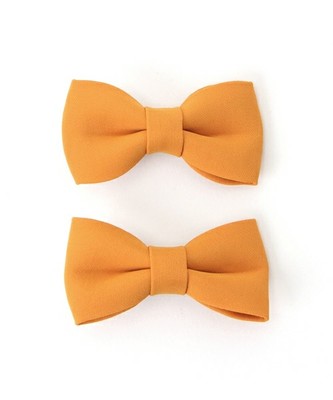 カラーリボンクリップ