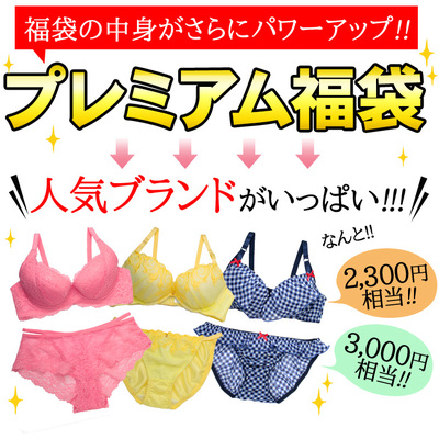 ブランド入りブラセット5組福袋