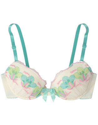 Pictorial book 3/4カップブラ