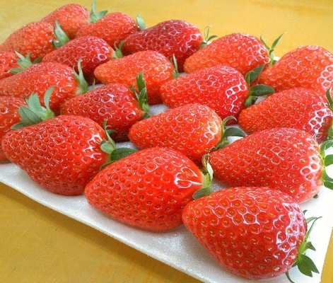 採れたて「とちおとめデラックス」20個入り2パック（送料無料）