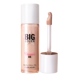 ETUDE HOUSE ビックカバーコンシーラー