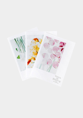 Botanical Pattern Print Paper File Set