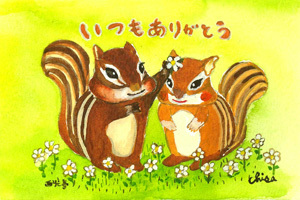 マーガレット(いつもありがとう)