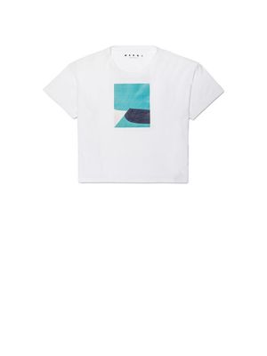 ジャージーTシャツ JACK DAVIDSON