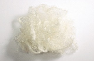 ベビーファイバー白