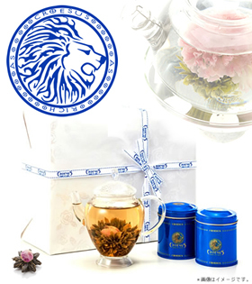 [母の日ポットセット] カーネーションなどきれいなお花が咲く工芸茶２缶（10個）＋ポットギフト（カード付き）