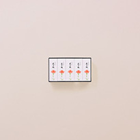 小形羊羹 5本入