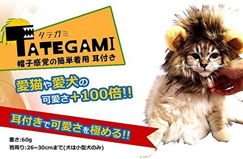 猫が超可愛いライオンに変身 ペット用 