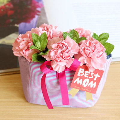 Le lien（ル・リアン）＊ポワールS