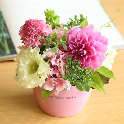 ダリアのトルマリンピンクアレンジメント