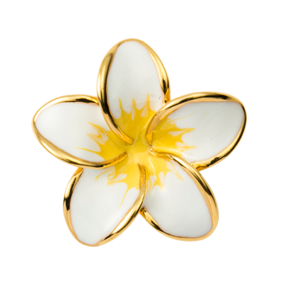 幸せを呼ぶ伝説の花 プルメリア