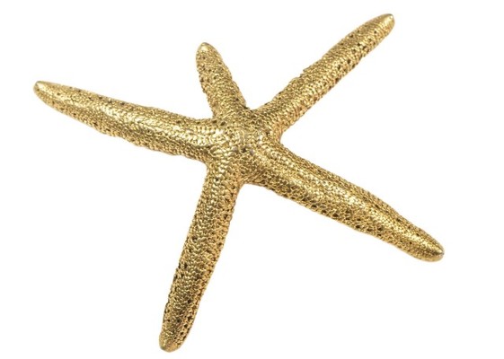 PLUIE STARFISH Barretta