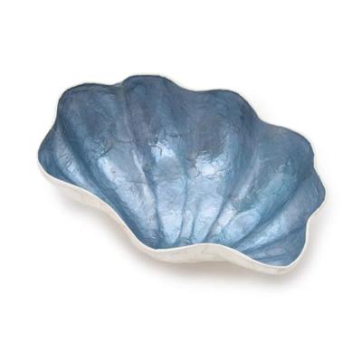 カピスシェルトレーM