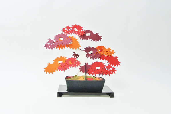 kami-bonsai　紅葉