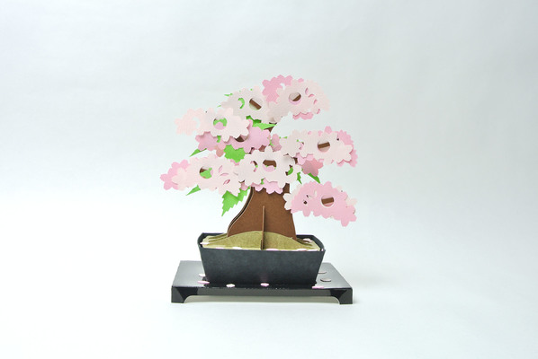 kami-bonsai　桜