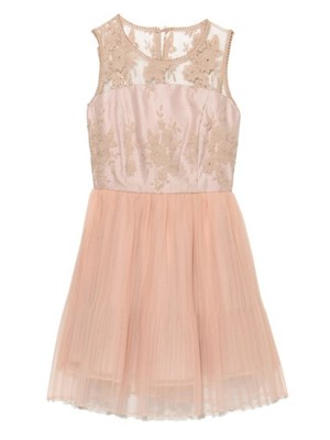 Lily Brown (リリーブラウン)  オーガンジーレースドレス