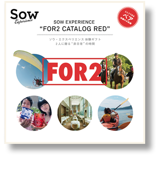 For2カタログRED