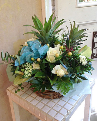 SMA-03 ナチュラルグリーン×ホワイト