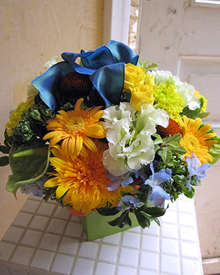 SMA-02 カナリヤ×ホワイト